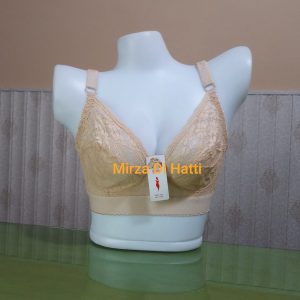 Buy CG-34 Red Light Padded Iconic Essence Half Cup Wired Embroidered Bra in  Pakistan
