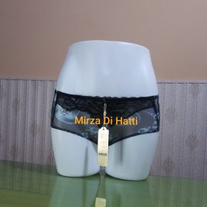 Net High Waist Panty See Through Soft 6757