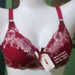 Net Bra Non Wired Cotton Half B Cup Lining 23271 Galaxy