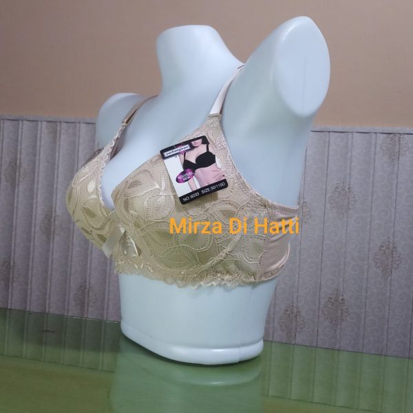 Body Shaping D Cup Thin Padded without Wire Net Bra 6033